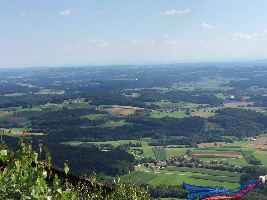 Aussicht auf den Sonnenwald