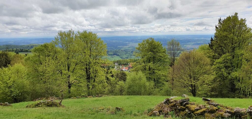 Weg zum Aussichtsturm