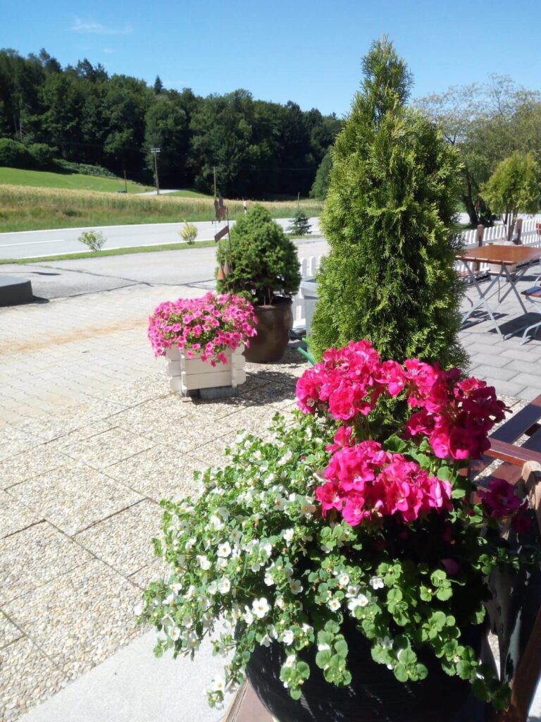 Blick vom Eingang aus