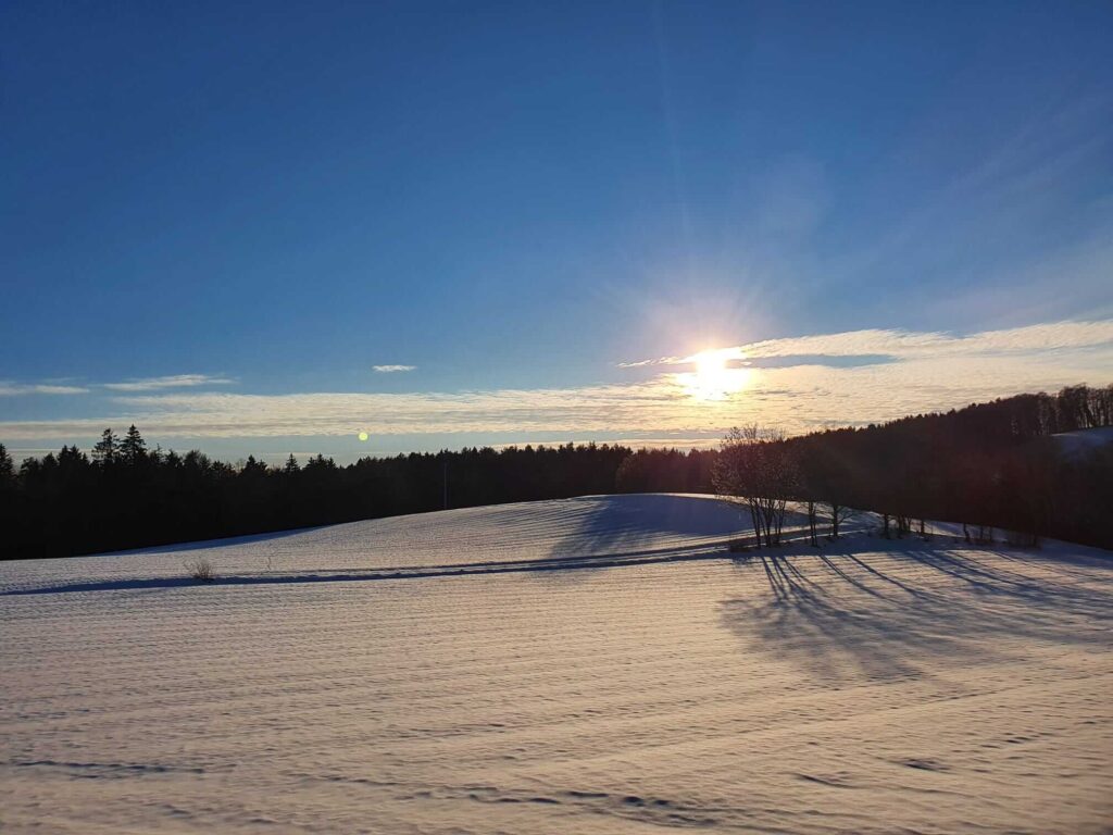 Winter im Sonnenwald